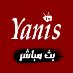 yanis tv بث مباشر